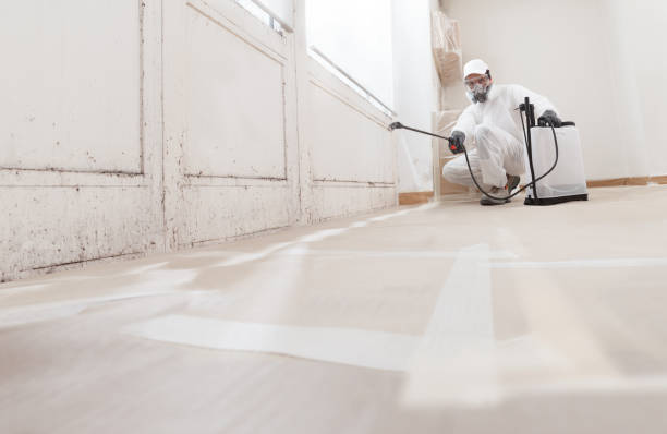 24/7 Emergency Attic Mold Remediation experts in Annapolis, MD