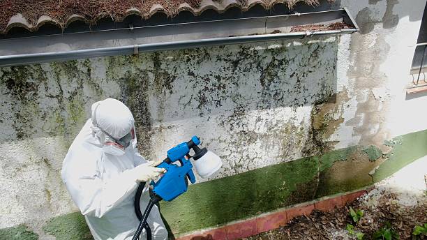 Top rated local Attic Mold Remediation specialists in Annapolis, MD